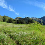 Breitbildfoto kurz nach Calfreisen mit Blick zum Montalin (links)