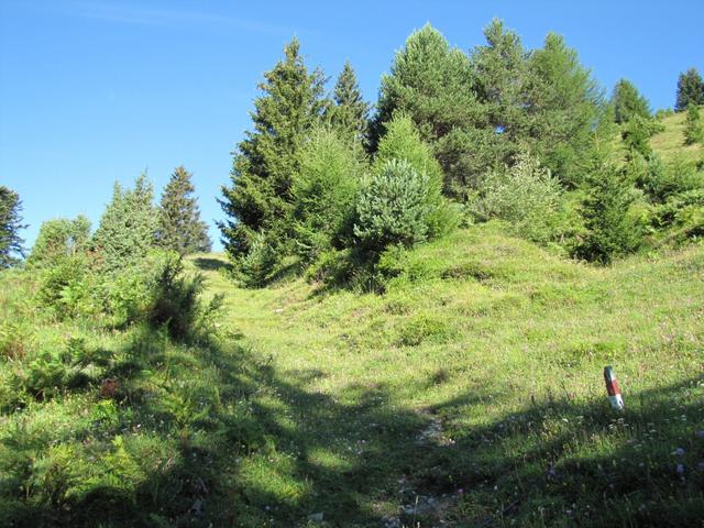 über Wiesenwege führt der Weg weiter aufwärts