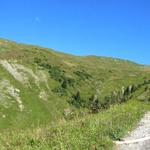 Breitbildfoto links der Montalin