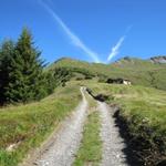 auf einem Fahrweg geht es weiter bis Punkt 1906 m.ü.M.