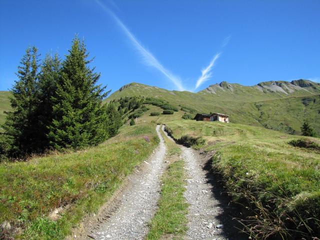 auf einem Fahrweg geht es weiter bis Punkt 1906 m.ü.M.