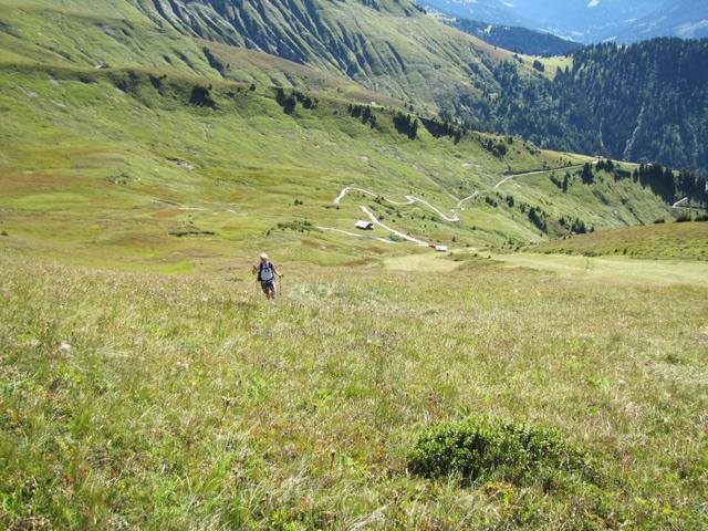 Blick runter nach Prapitscha. Gut ersichtlich der Fahrweg, der bis nach Prapitscha führt