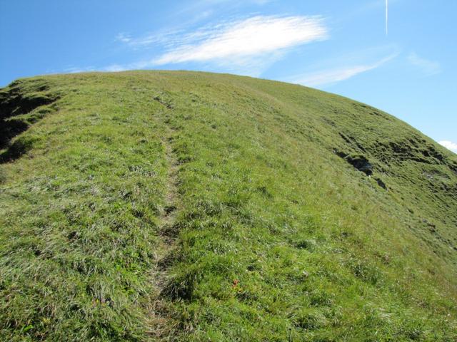 auf dem runden Rücken des Montalin