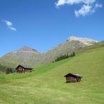 auf Gimmela mit Blick zur Birg und zuhinterst zum Schilthorn