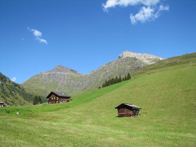 auf Gimmela mit Blick zur Birg und zuhinterst zum Schilthorn