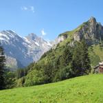 über diesen steilen Rücken der Wasenegg wird unsere Wanderung führen