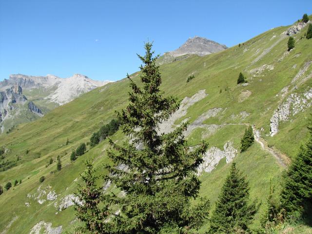 auf einem schönem Höhenweg führt uns nun der Wanderweg zur Rotstockhütte