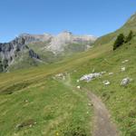 auf schönem Weg Richtung Roststockhütte. Links der Horn, rechts der Hundshorn