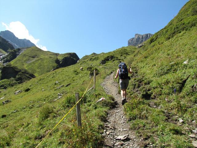 der Weg wird wieder steiler