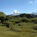 Breitbildfoto unterhalb der Sefinenfurgge mit Blick Richtung Jungfrau