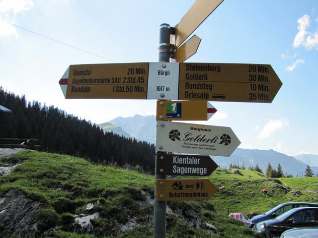 Wegweiser bei Bürgli 1617 m.ü.M.