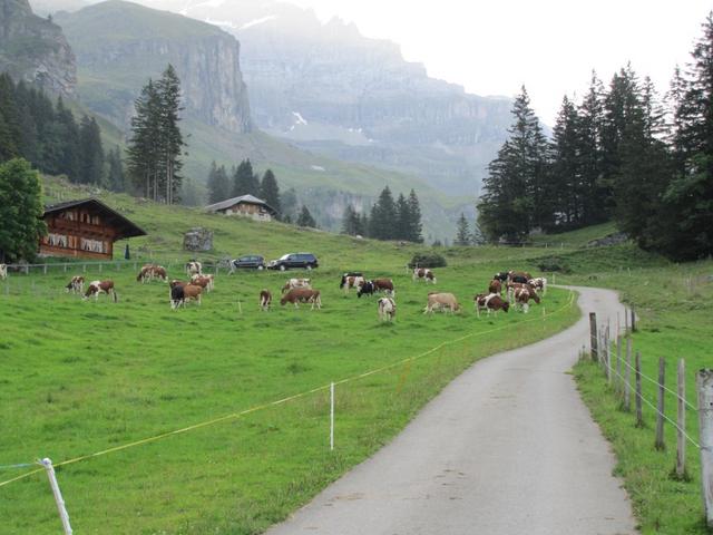 kurz vor Bürgli