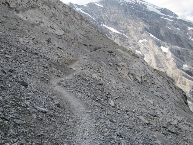 die letzten paar Meter kurz vor der Hütte