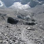 führt der gut bezeichnete Weg einem sicher über den Gletscher