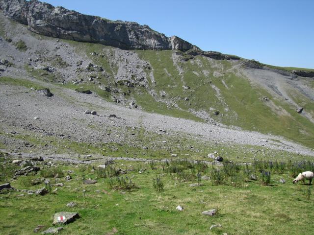 Blick von Oberloch Richtung Punkt 1967 m.ü.M.