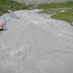 Mäusi bei der Schwemmebene von Gamchi. Wahnsinnig wieviel Gletscherwasser hier runterfliesst