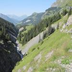 Talauswärts wandern wir nun an der Gamchischlucht vorbei Richtung Bürgli