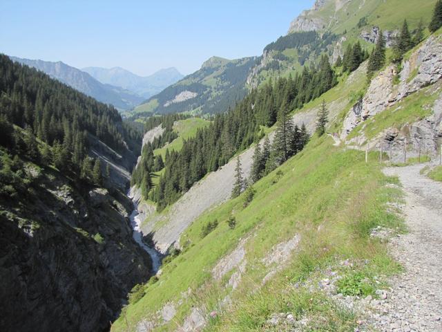 Talauswärts wandern wir nun an der Gamchischlucht vorbei Richtung Bürgli