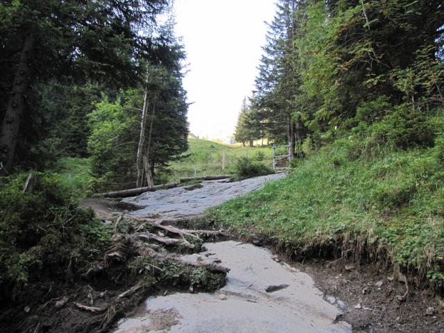 sofort nach dem überschreiten des Gamchibach geht es steil aufwärts