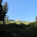 von Vorteil ist es, das wir früh gestartet sind, und so in der Morgenfrische und noch im Schatten aufwärts wandern können