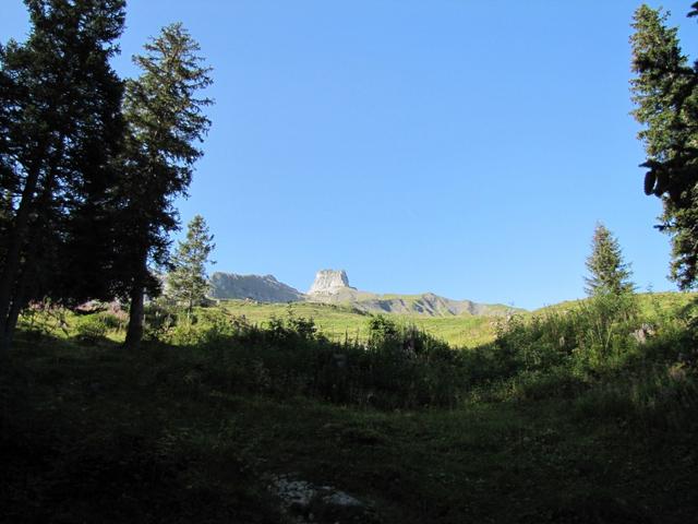 von Vorteil ist es, das wir früh gestartet sind, und so in der Morgenfrische und noch im Schatten aufwärts wandern können