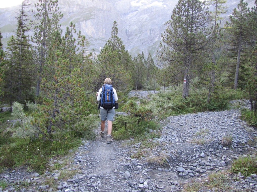 der Wanderweg führt uns zuerst am Ufer vom Oeschinensee