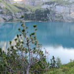 Breitbildfoto vom Oeschinensee