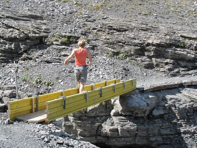 Mäusi beim überschreiten der Brücke