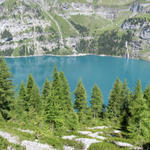 sehr schönes Breitbildfoto vom Oeschinensee