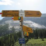 Wegweiser beim Oeschinensee 1593 m.ü.M.