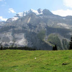 was für ein Breitbildfoto! Blüemlisalp, Oeschinenhorn, Fründenhorn und Doldenhorn und alles schön mit Gletschern verziert