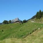 bei Punkt 1316 m.ü.M. mit Blick zur Hohgant. Dort waren wir auch schon