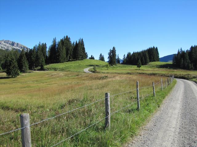 Moorlandschaft bei Punkt 1384 m.ü.M.