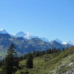 links von uns am Horizont die Berner Riesen. Eiger, Mönch, Jungfrau, Breithorn u.s.w.