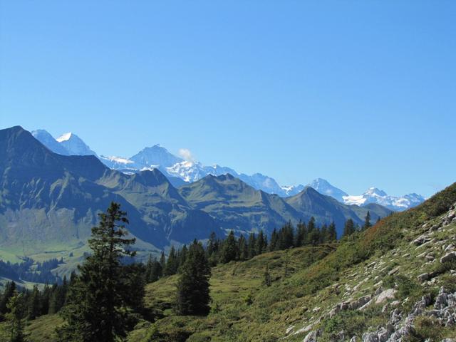 links von uns am Horizont die Berner Riesen. Eiger, Mönch, Jungfrau, Breithorn u.s.w.