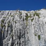 durch das Regenwasser zerfressene Felsbänder