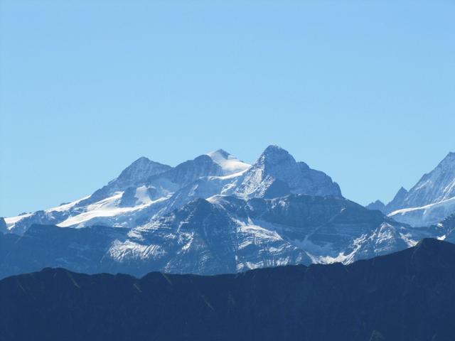 Wetterhorn und Bärglistock