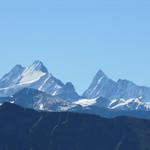 Schreckhorn und Finsteraarhorn