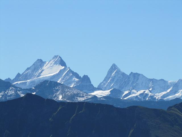 Schreckhorn und Finsteraarhorn