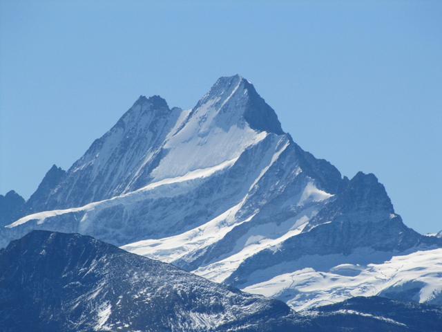 Schreckhorn