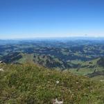 vom Grat aus, geniesst man eine wunderschöne Weitsicht ins Mittelland