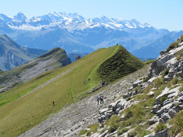 die Wanderung zum Schibengütsch, ist eine Gratwanderung vom feinsten. Was für eine Aussicht