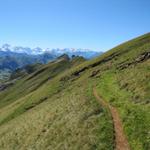 wir wandern aber weiter Richtung Schibengütsch