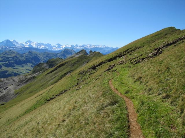 wir wandern aber weiter Richtung Schibengütsch