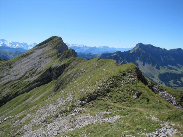 gut ersichtlich der Bergweg zum Schibengütsch. Recht die Hohgant, dort waren wir auch schon