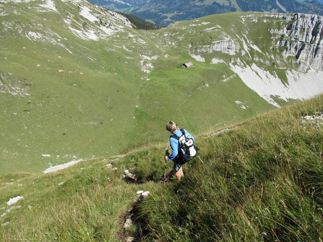 jetzt führt der Weg sehr steil! abwärts. Hier tun Stöcke gute Dienste