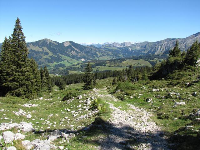 bei der Ober Ruchweid mit Blick Richtung Sörenberg