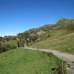 wir haben Madrisa verlassen und wandern auf einem einfachen Wanderweg Richtung Jägglisch Horn