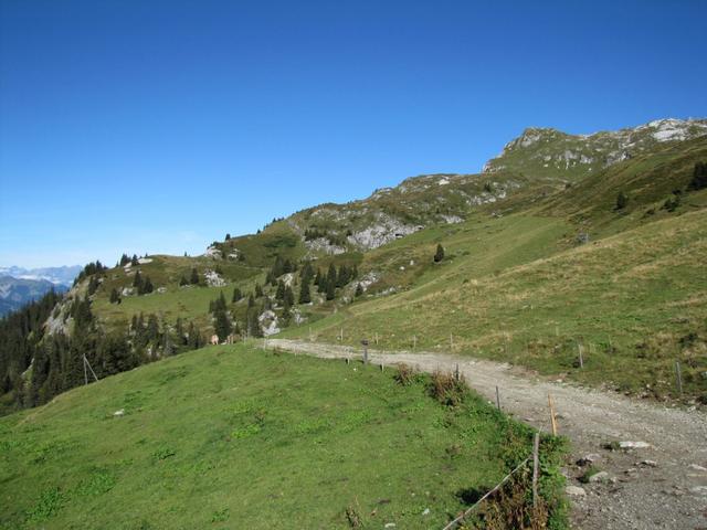 wir haben Madrisa verlassen und wandern auf einem einfachen Wanderweg Richtung Jägglisch Horn