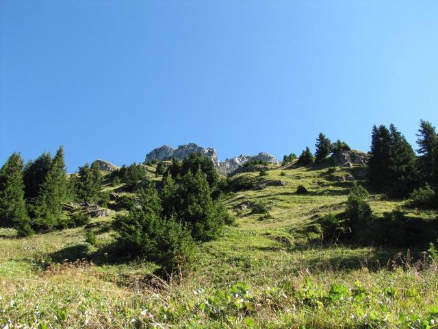 Blick hinauf zum Geisshorn bei Punkt 1920 m.ü.M.